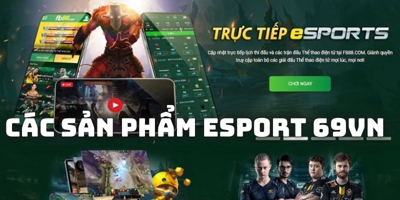 Các bộ môn cá cược esports trên nền tảng 69vn